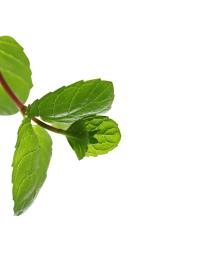 Advismint